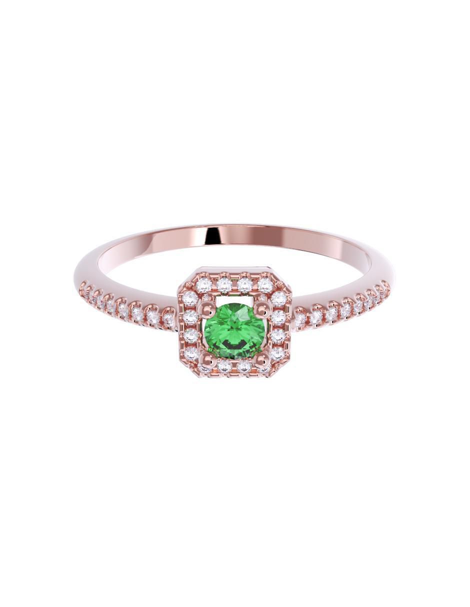 Rosa 2