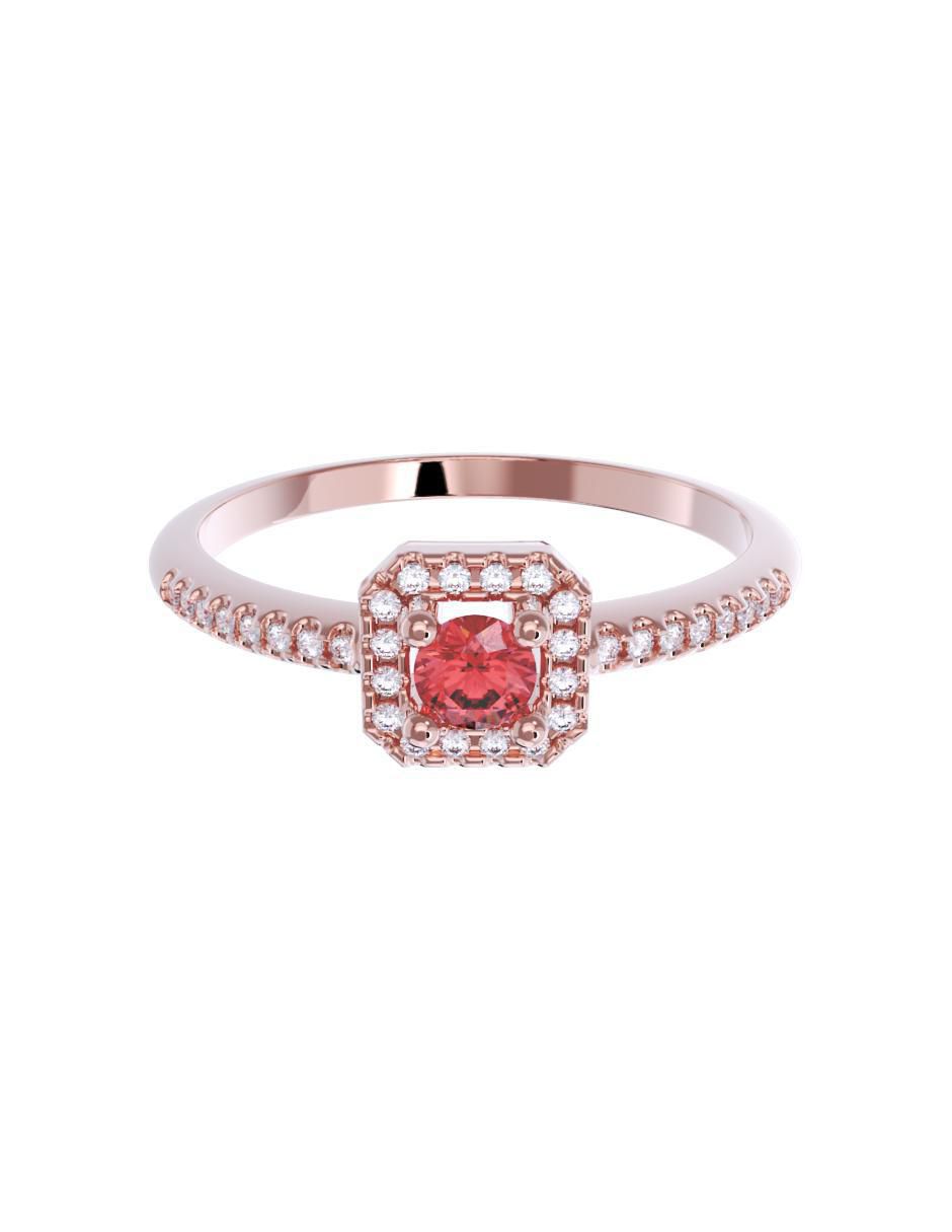 Rosa 1