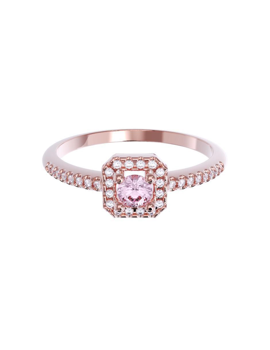 Rosa 2