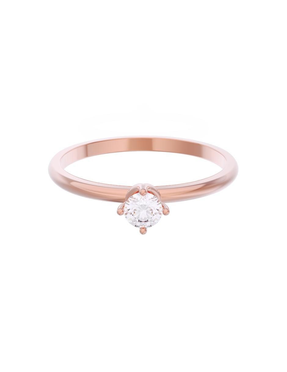 Rosa 2