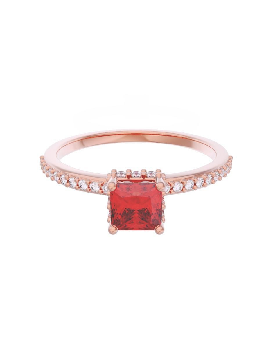 Rosa 2