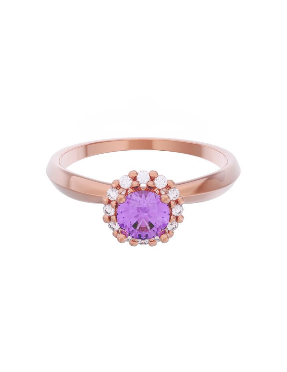 Rosa 2