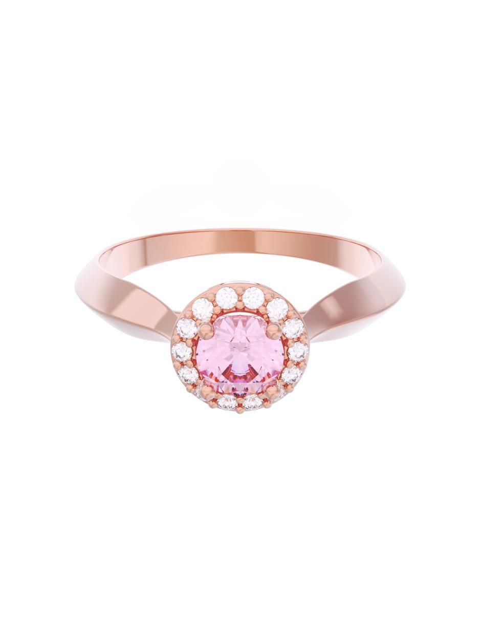 Rosa 3