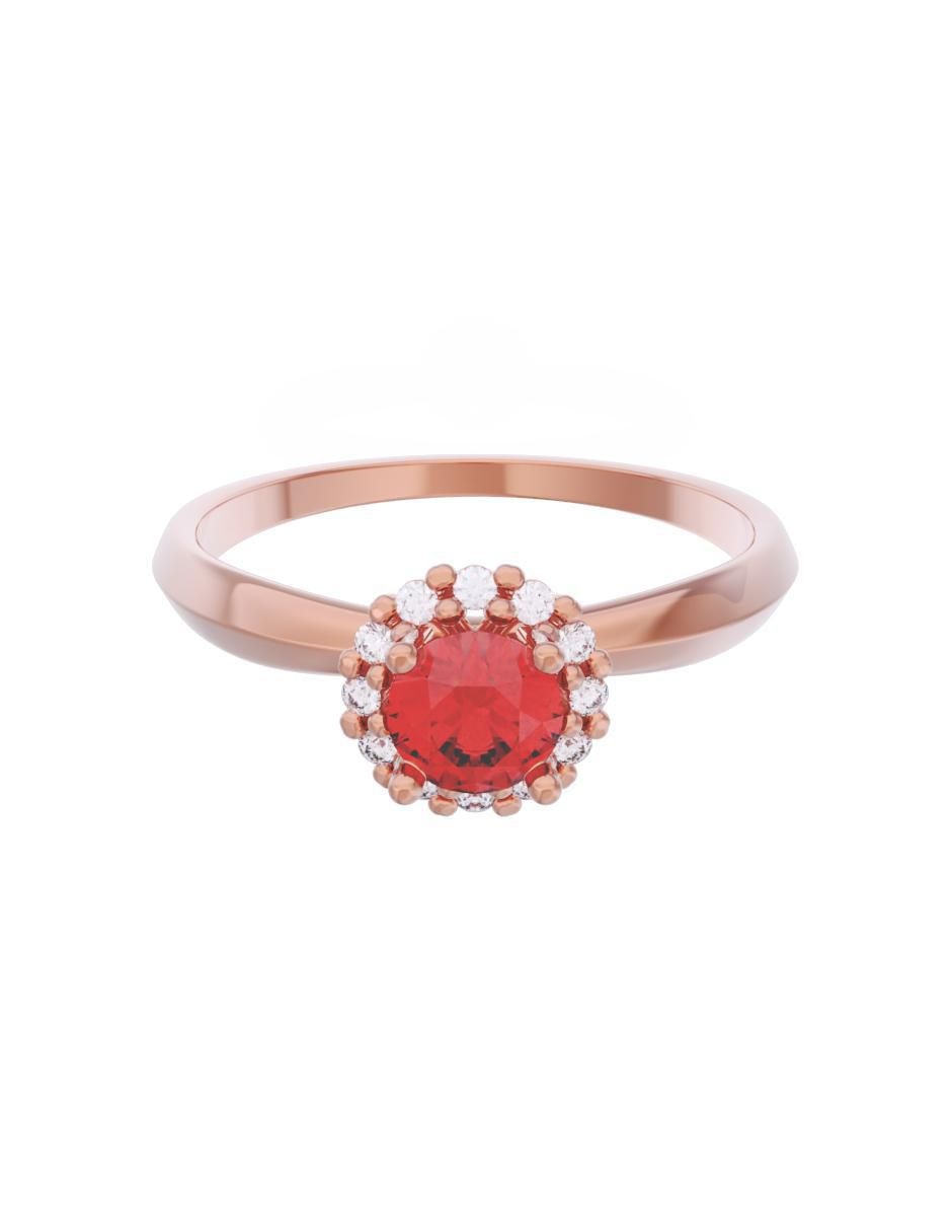 Rosa 2