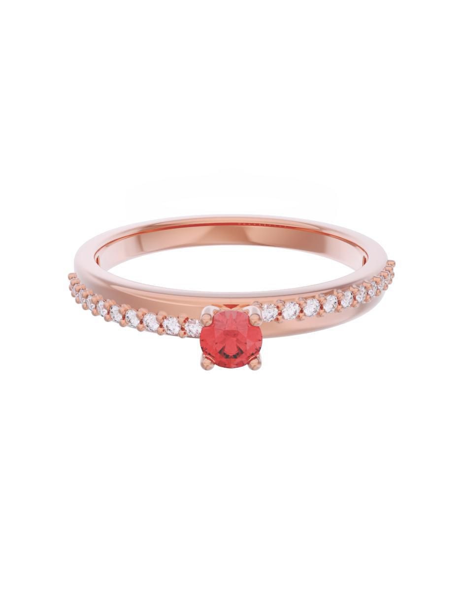 Rosa 3