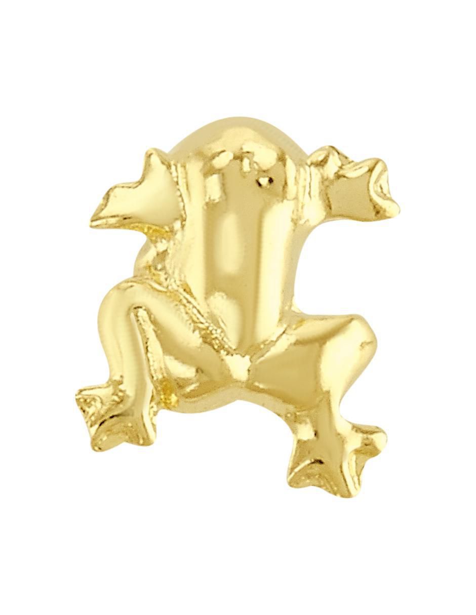 Arete de rana de oro amarillo 10 K con acabado brillante 2