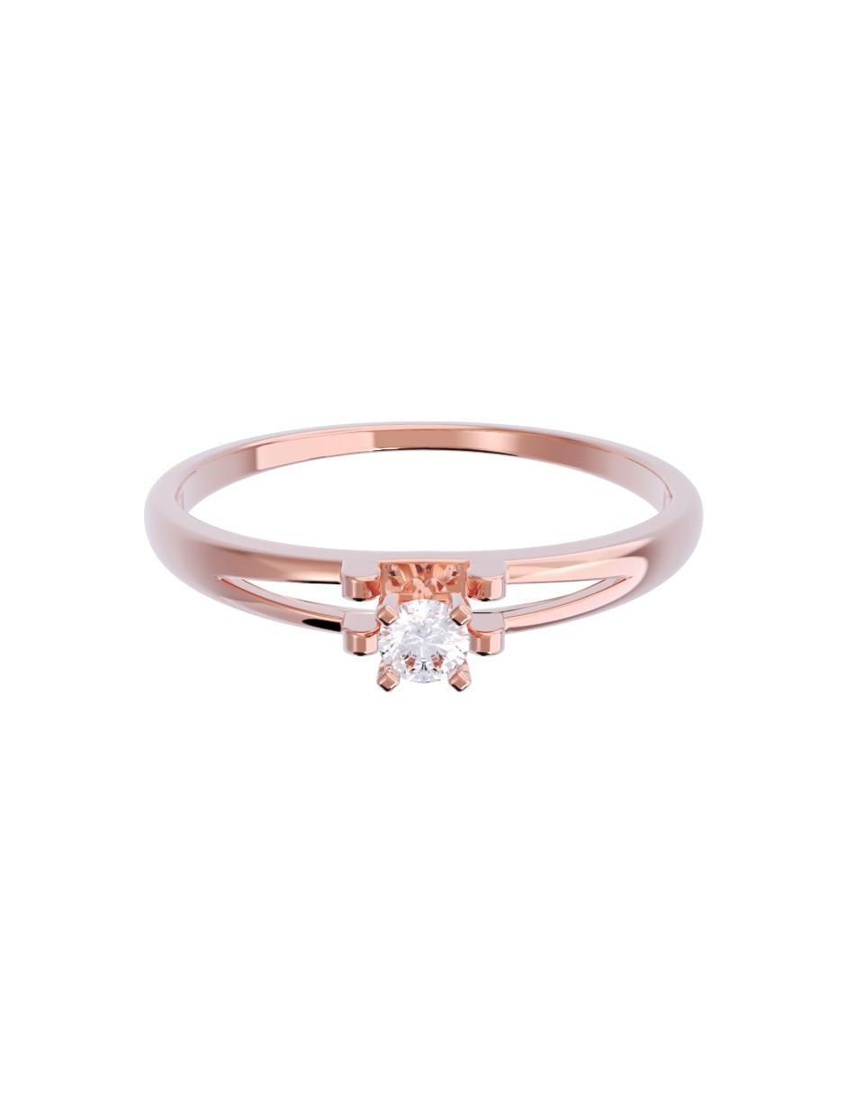 Rosa 2