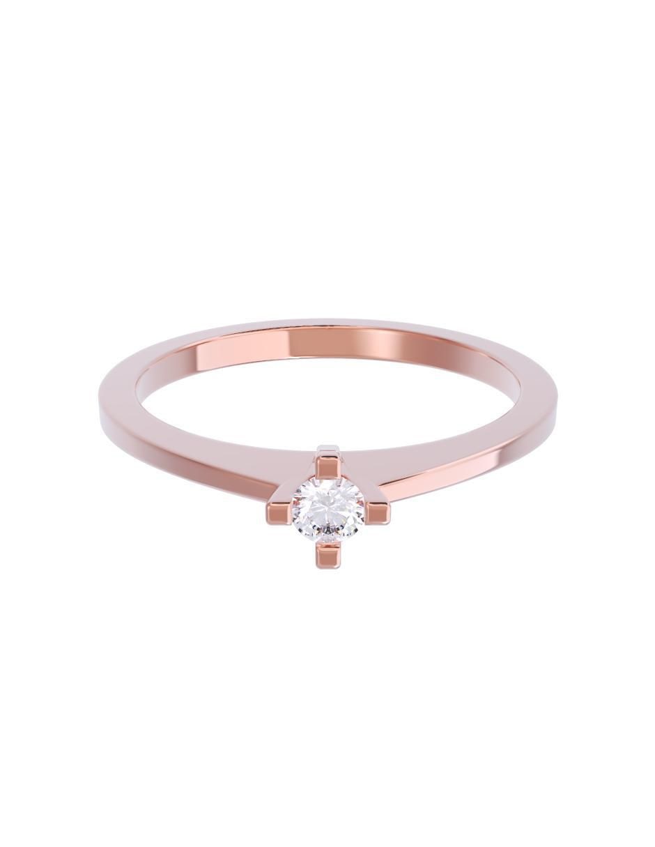 Rosa 1